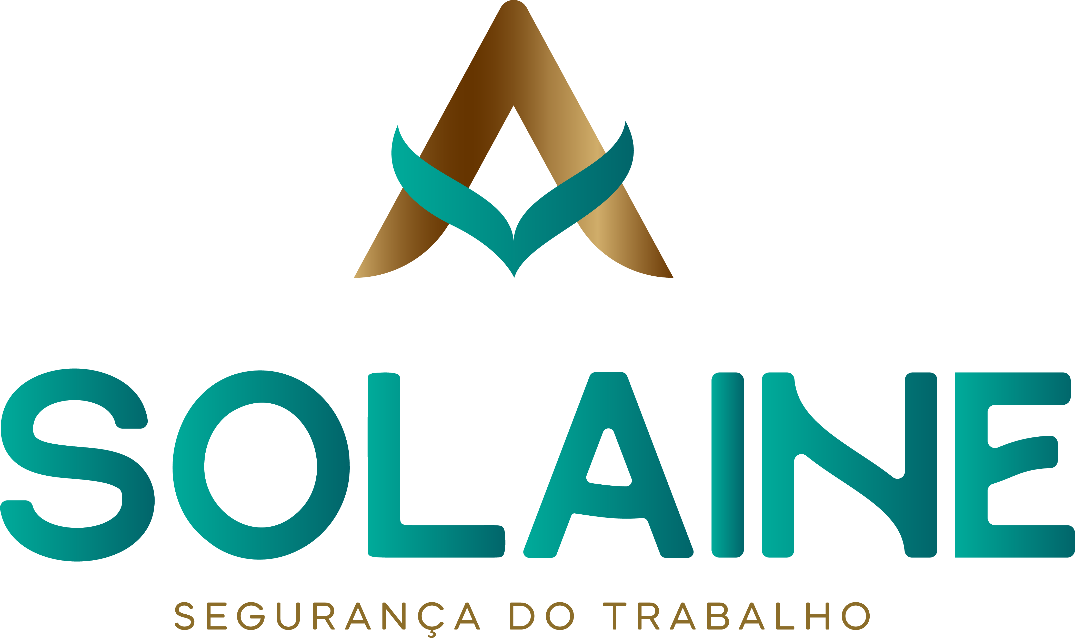 Solaine Segurança do Trabalho